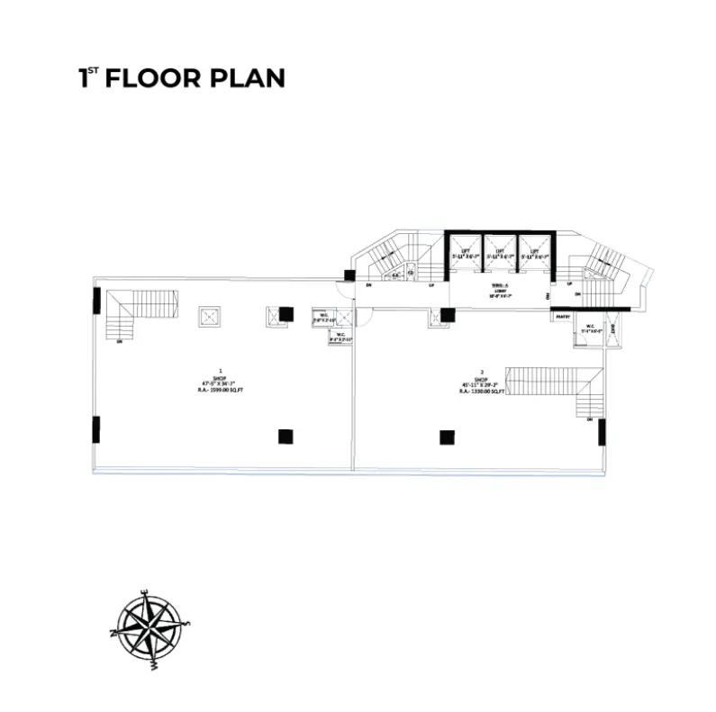image (5)